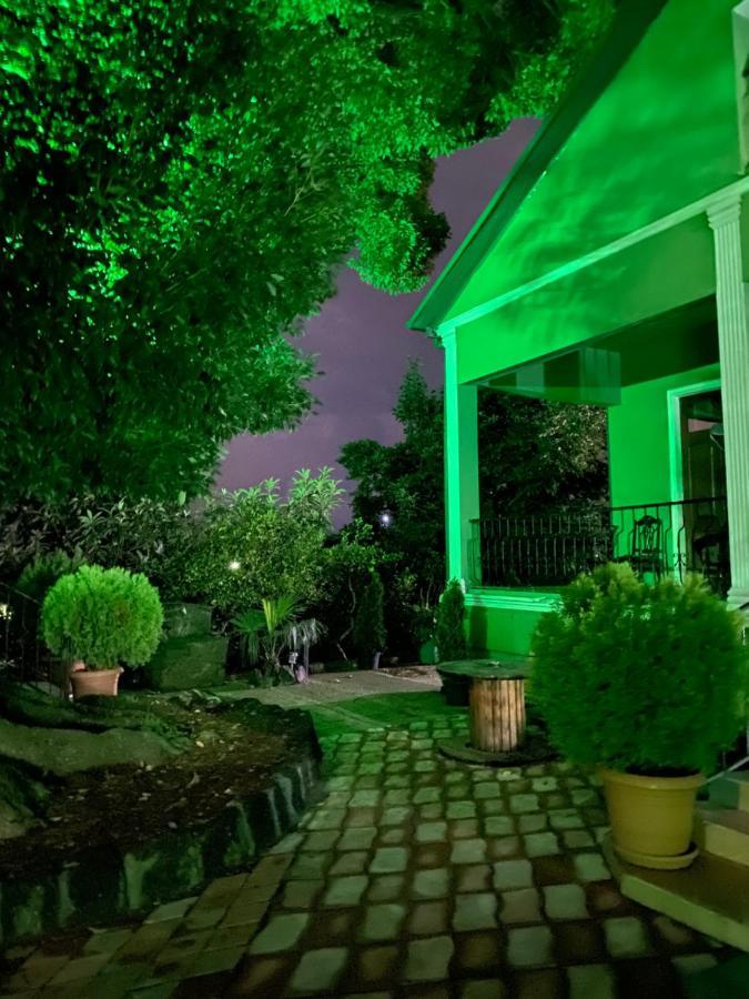 Apartment Green House マヒンジャウリ エクステリア 写真
