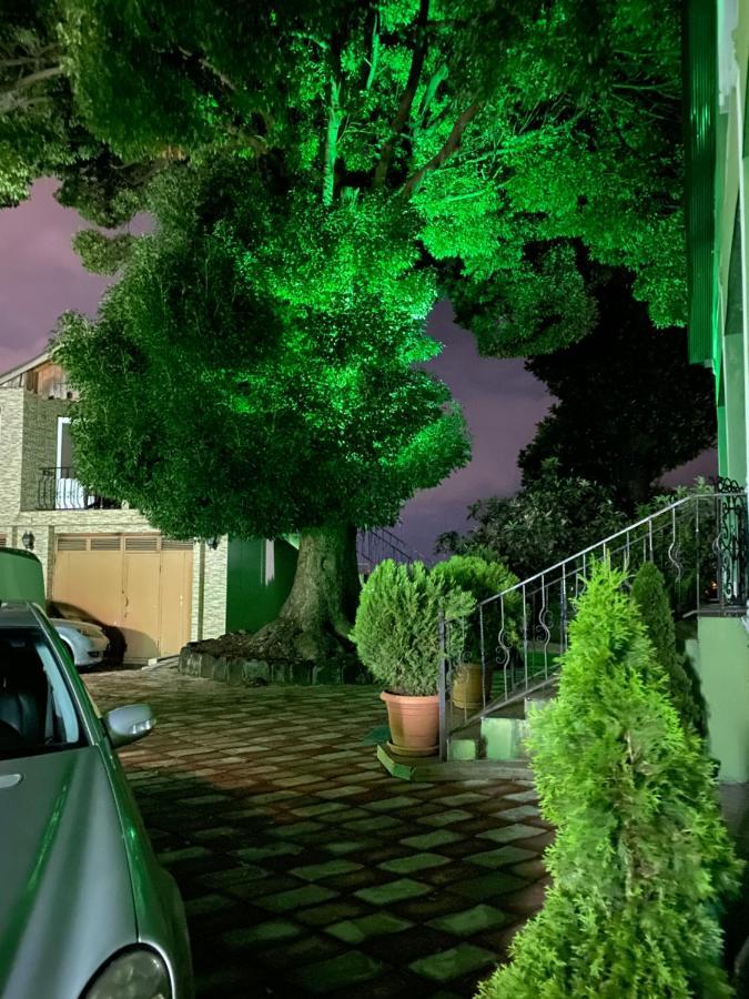 Apartment Green House マヒンジャウリ エクステリア 写真