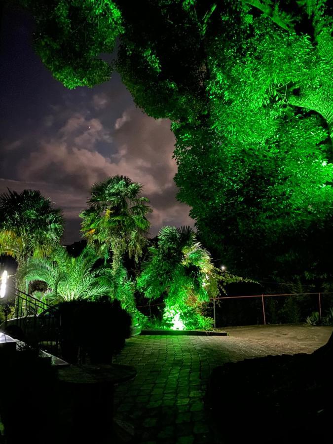 Apartment Green House マヒンジャウリ エクステリア 写真