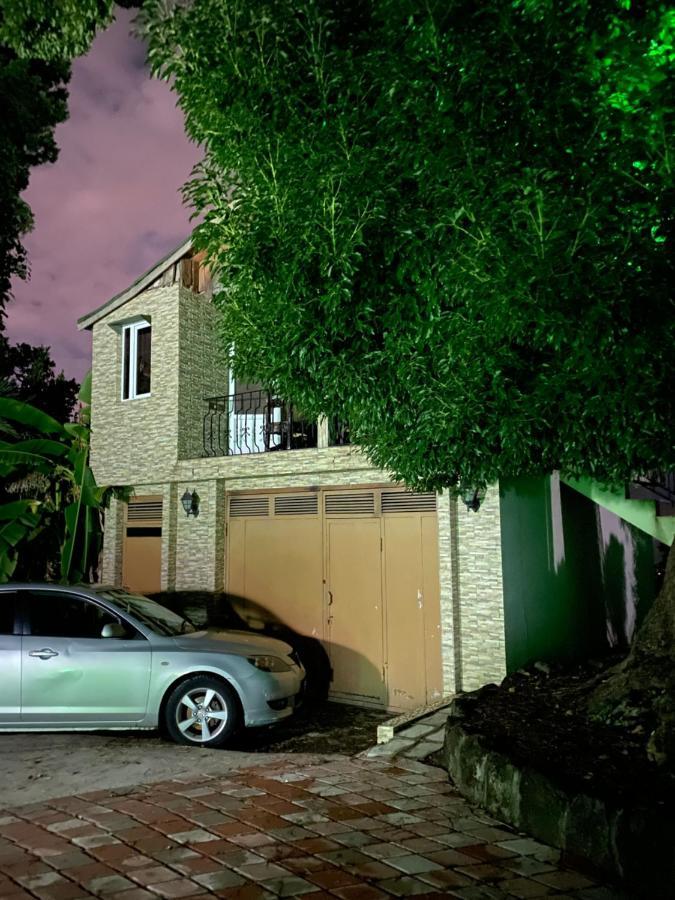 Apartment Green House マヒンジャウリ エクステリア 写真