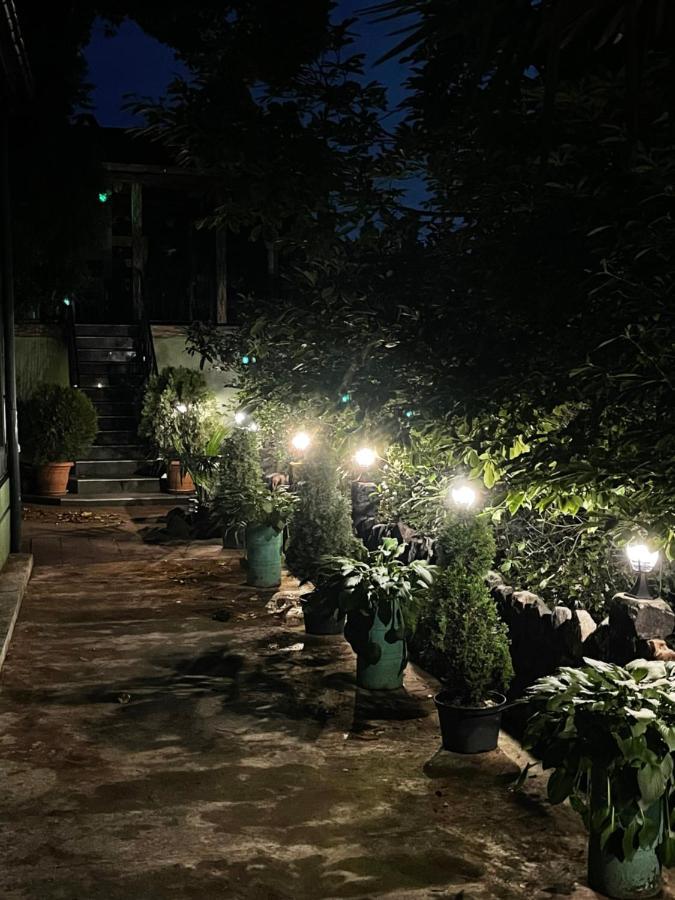 Apartment Green House マヒンジャウリ エクステリア 写真
