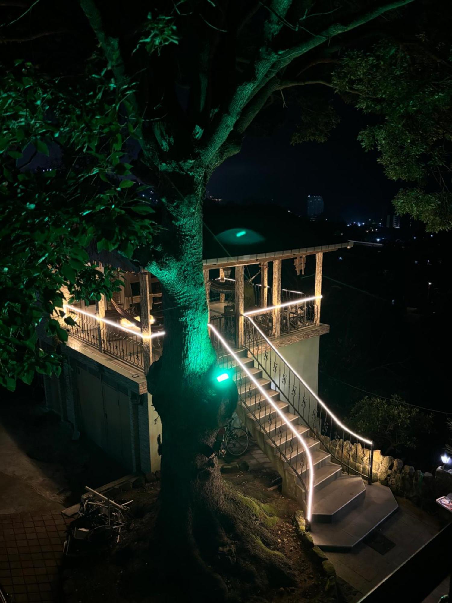 Apartment Green House マヒンジャウリ エクステリア 写真