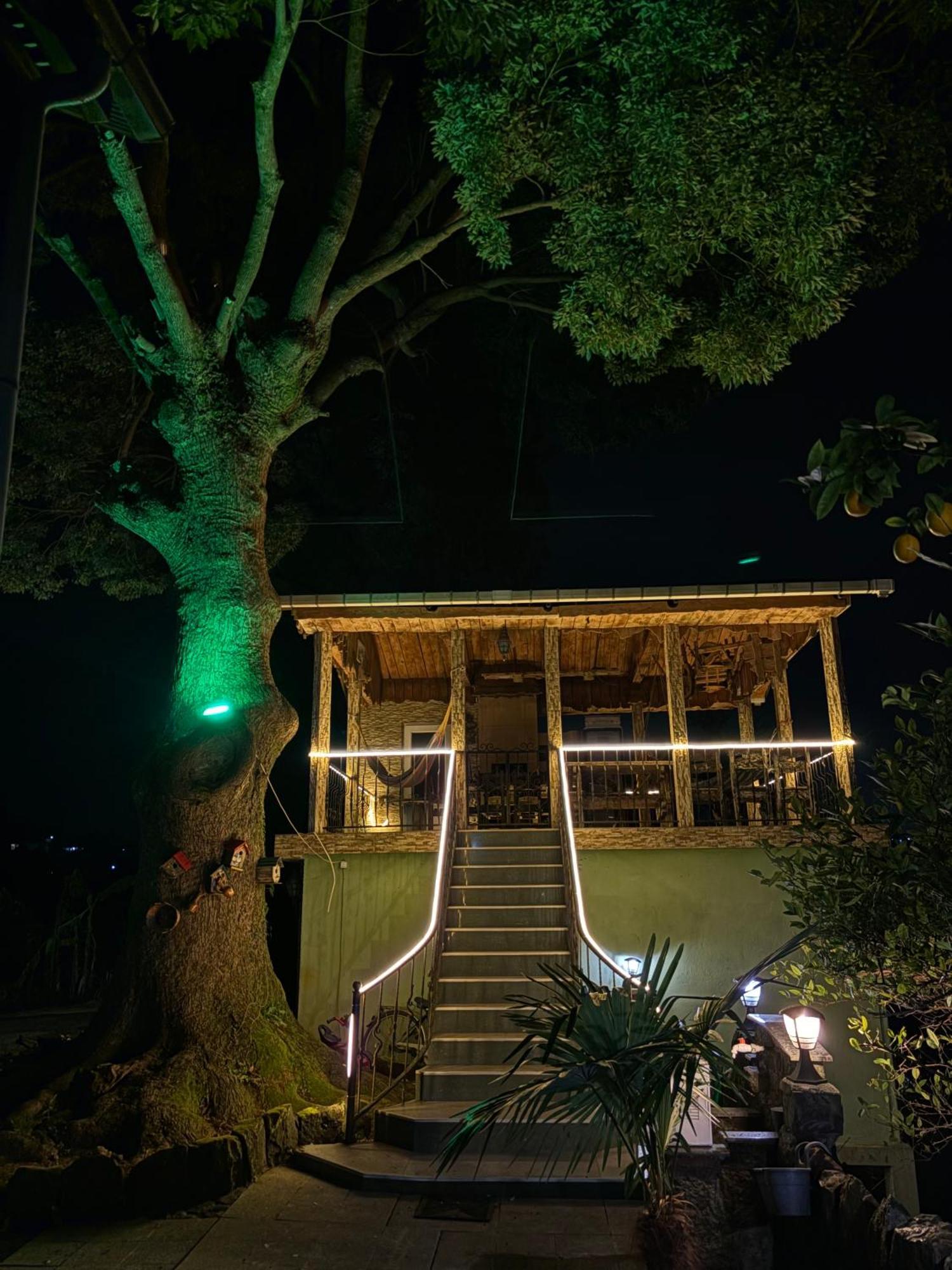 Apartment Green House マヒンジャウリ エクステリア 写真