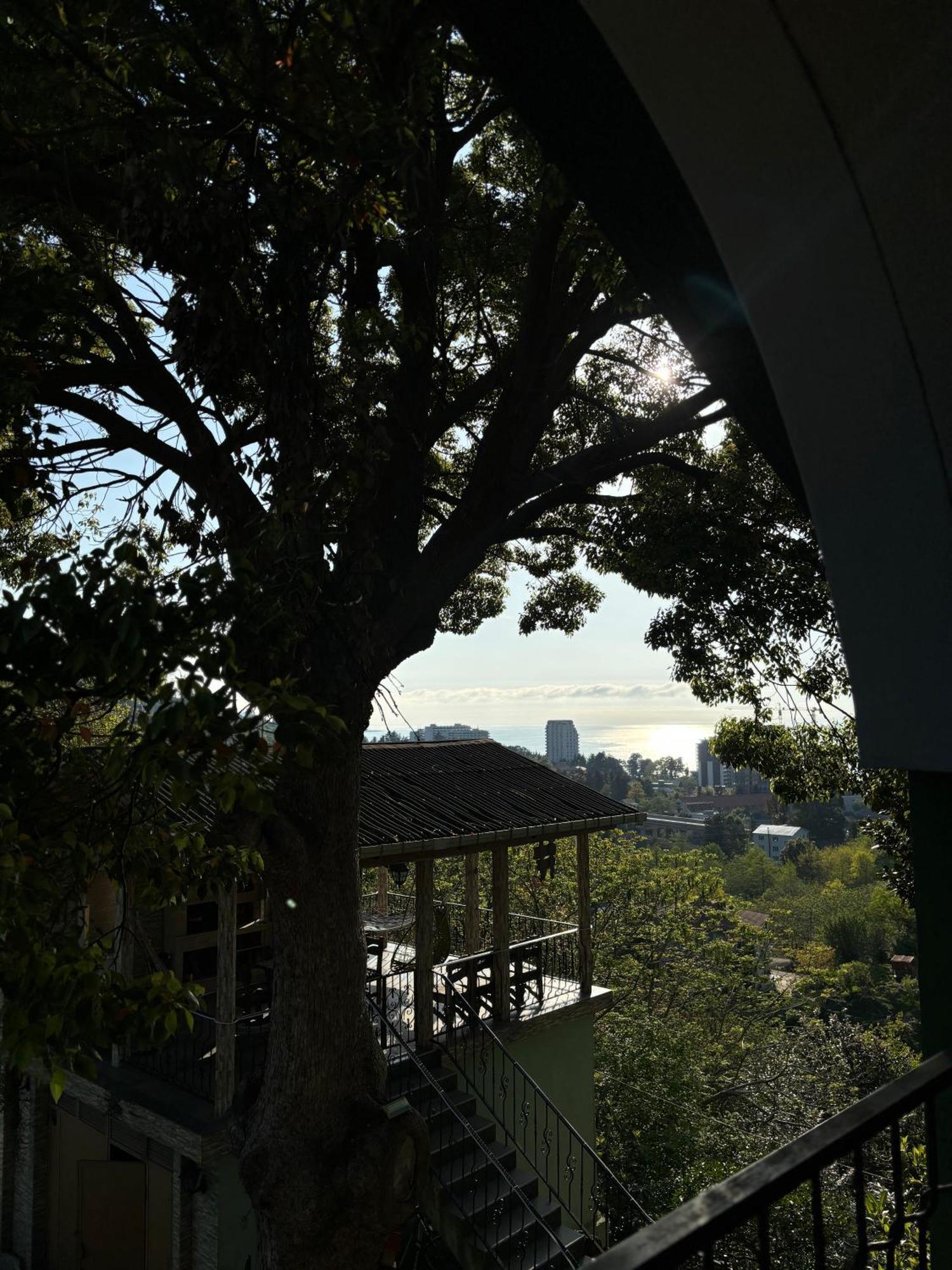 Apartment Green House マヒンジャウリ エクステリア 写真