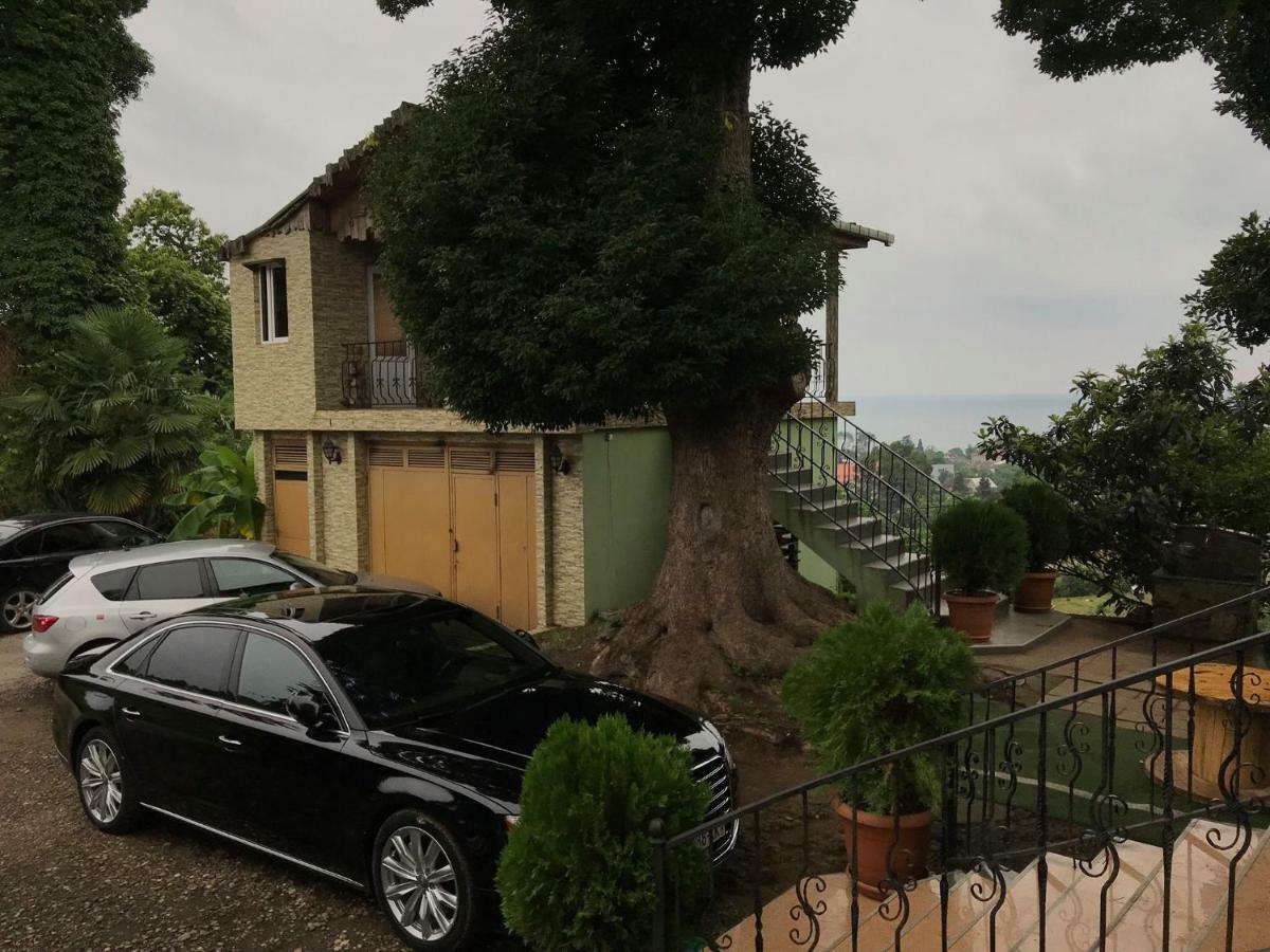 Apartment Green House マヒンジャウリ エクステリア 写真